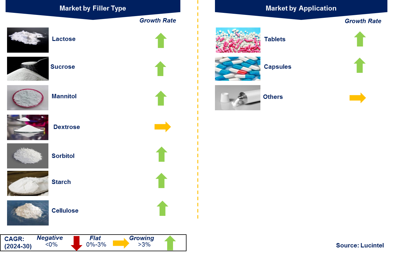 Fillers in the Global Pharmaceutical Market by Segment